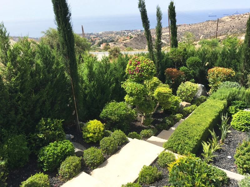 Green Forest - Cyprus' leading landscaping company - project067 13 1