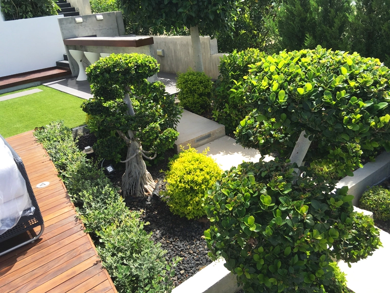 Green Forest - Cyprus' leading landscaping company - project067 14
