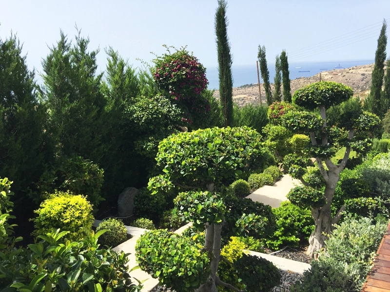 Green Forest - Cyprus' leading landscaping company - project067 17