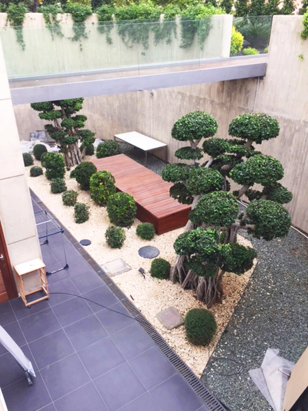 Green Forest - Cyprus' leading landscaping company - project067 19