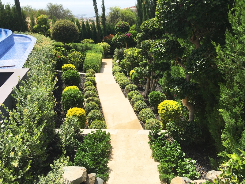 Green Forest - Cyprus' leading landscaping company - project067 2 2
