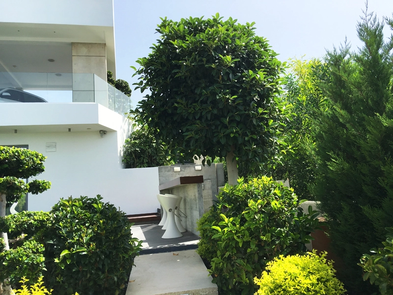 Green Forest - Cyprus' leading landscaping company - project067 20 1