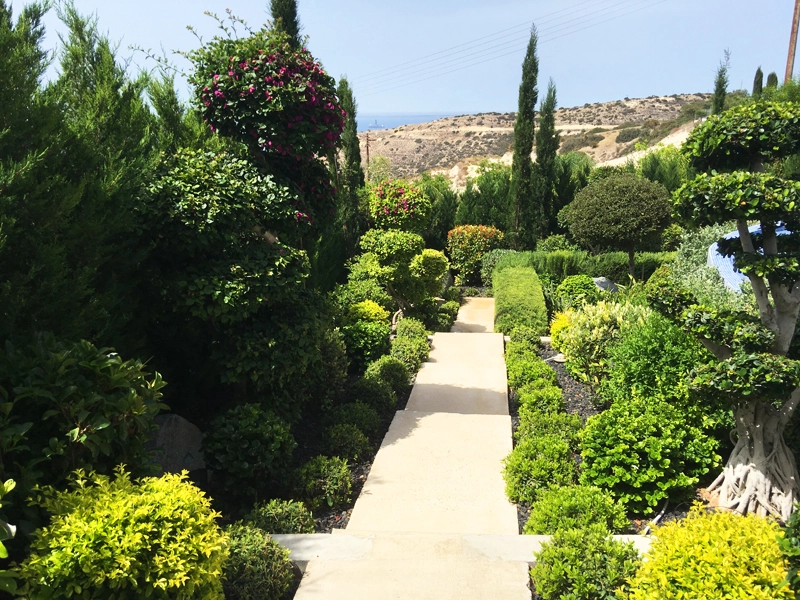 Green Forest - Cyprus' leading landscaping company - project067 29 2