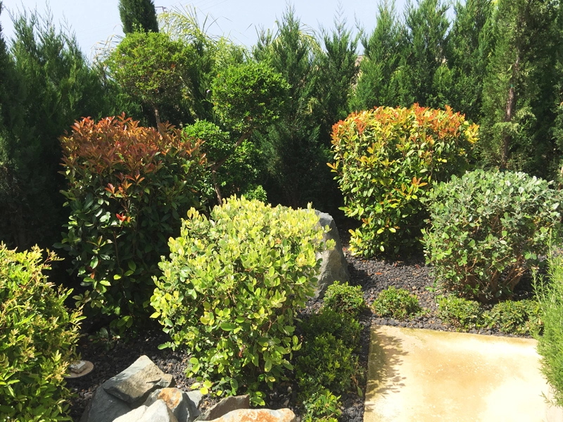 Green Forest - Cyprus' leading landscaping company - project067 3 1