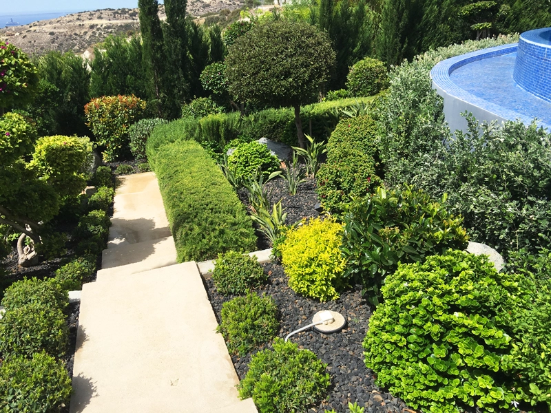 Green Forest - Cyprus' leading landscaping company - project067 4 1