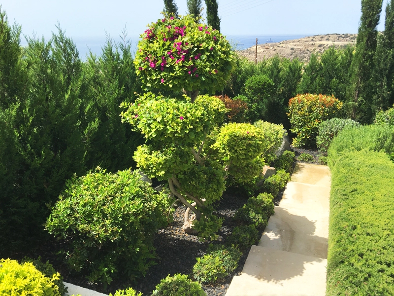 Green Forest - Cyprus' leading landscaping company - project067 5 1