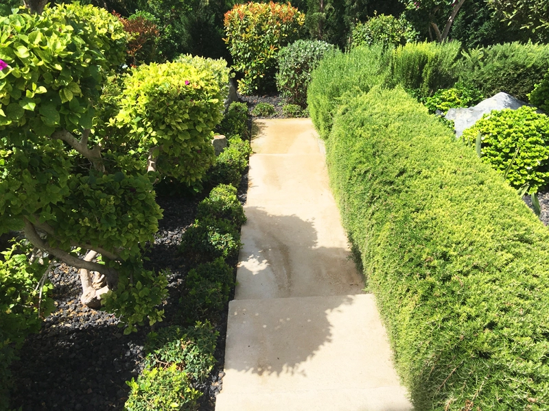Green Forest - Cyprus' leading landscaping company - project067 7