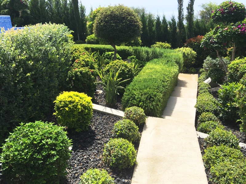 Green Forest - Cyprus' leading landscaping company - project067 8 2