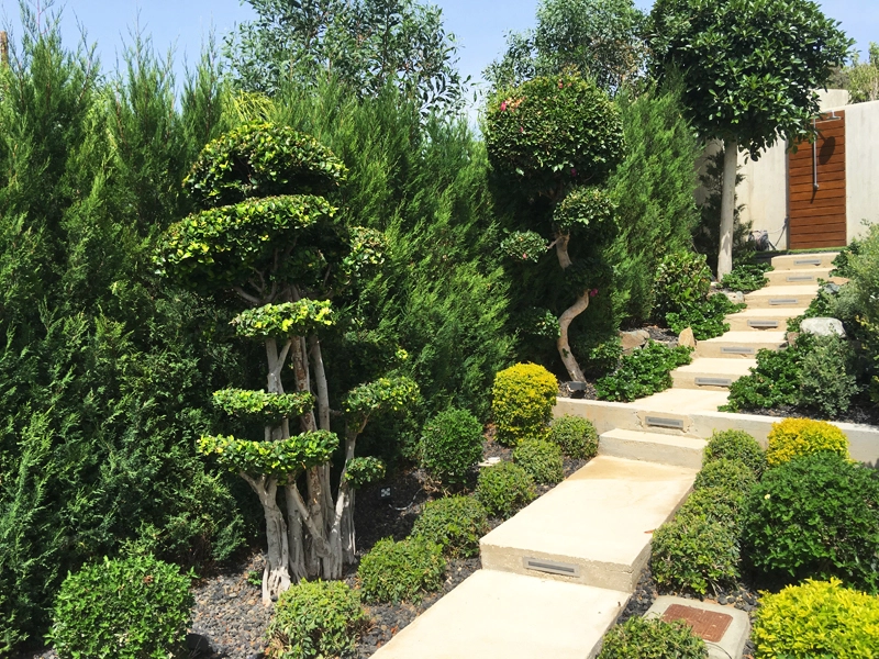 Green Forest - Cyprus' leading landscaping company - project067 9 2
