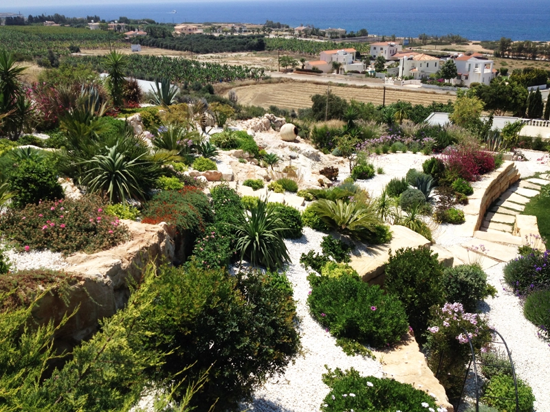 Green Forest - Cyprus' leading landscaping company - project58 13 2