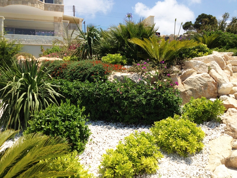 Green Forest - Cyprus' leading landscaping company - project58 19 1