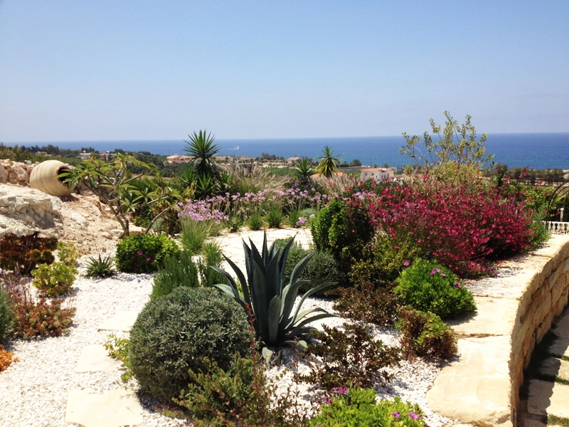 Green Forest - Cyprus' leading landscaping company - project58 22 2