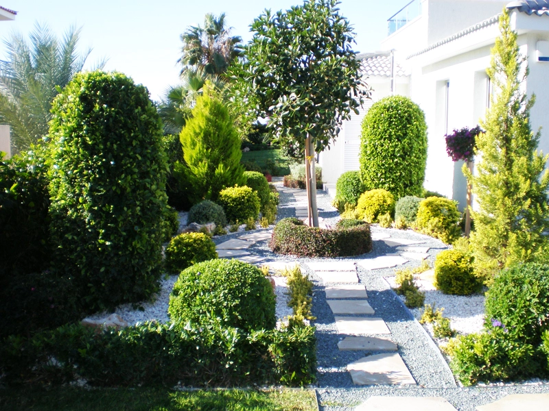 Green Forest - Cyprus' leading landscaping company - project60 1 1