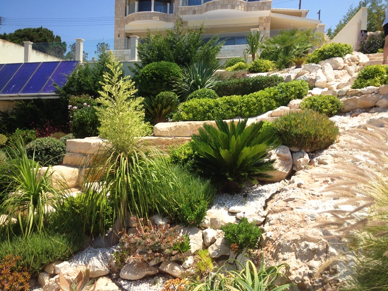 Green Forest - Cyprus' leading landscaping company - rimma 35