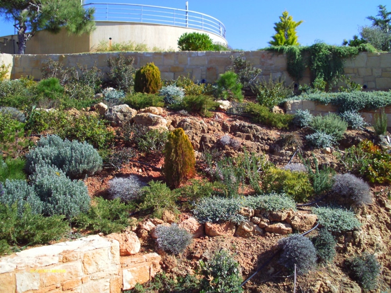 Green Forest - Cyprus' leading landscaping company - rockerygardens 1