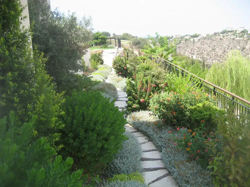 Green Forest - Cyprus' leading landscaping company - steppingstones 36 2