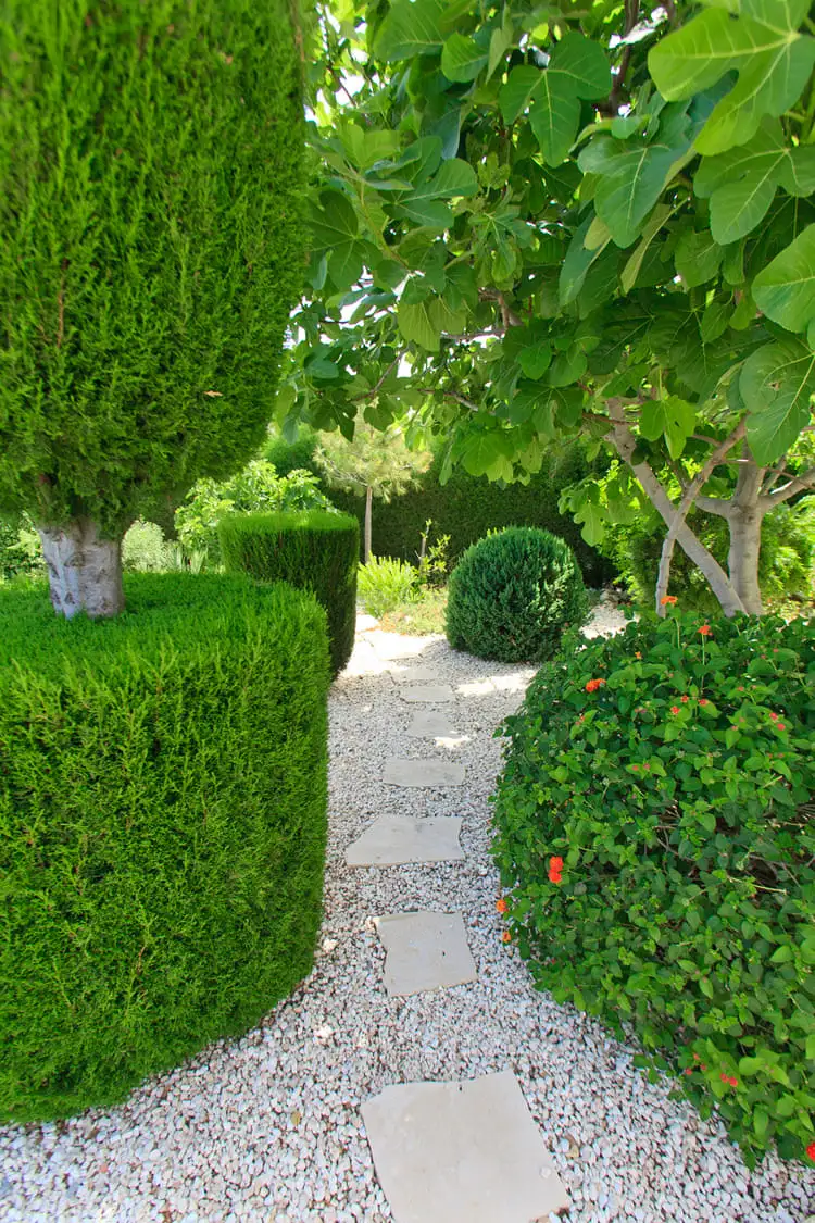 Green Forest - Cyprus' leading landscaping company - steppingstones 6 2