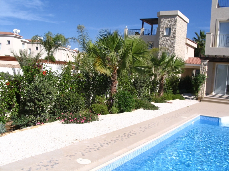 Green Forest - Cyprus' leading landscaping company - tropicalpalmsgardens 21 2