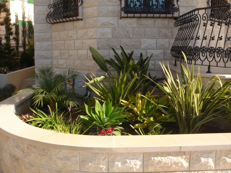 Green Forest - Cyprus' leading landscaping company - tropicalpalmsgardens 26 3