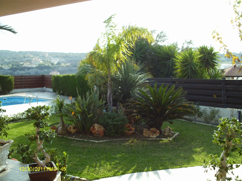 Green Forest - Cyprus' leading landscaping company - tropicalpalmsgardens 28 3