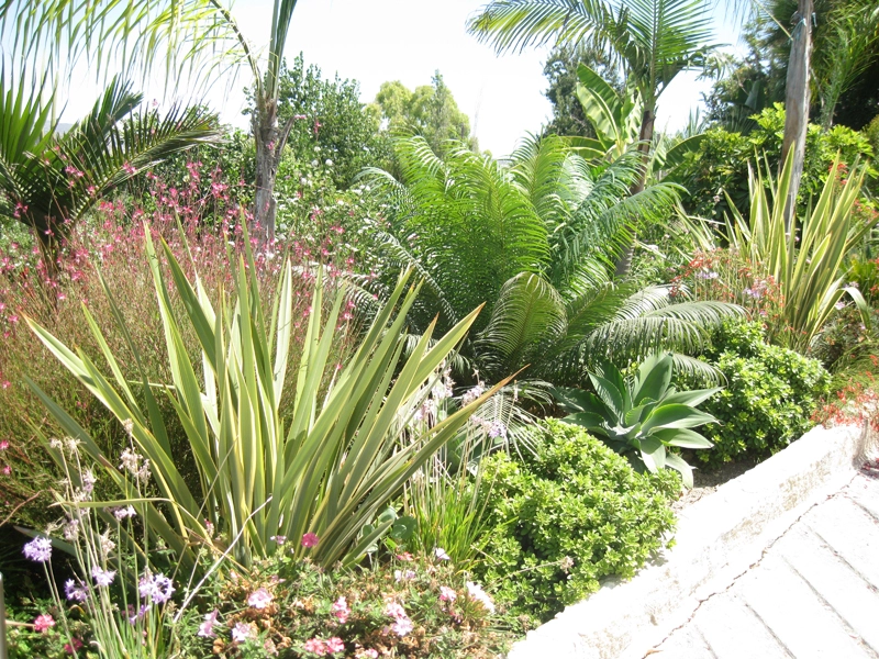 Green Forest - Cyprus' leading landscaping company - tropicalpalmsgardens 41 4