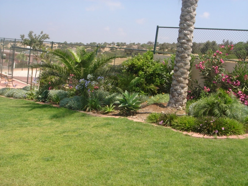 Green Forest - Cyprus' leading landscaping company - tropicalpalmsgardens 44 3