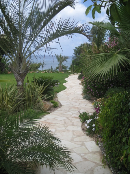Green Forest - Cyprus' leading landscaping company - tropicalpalmsgardens 47 3