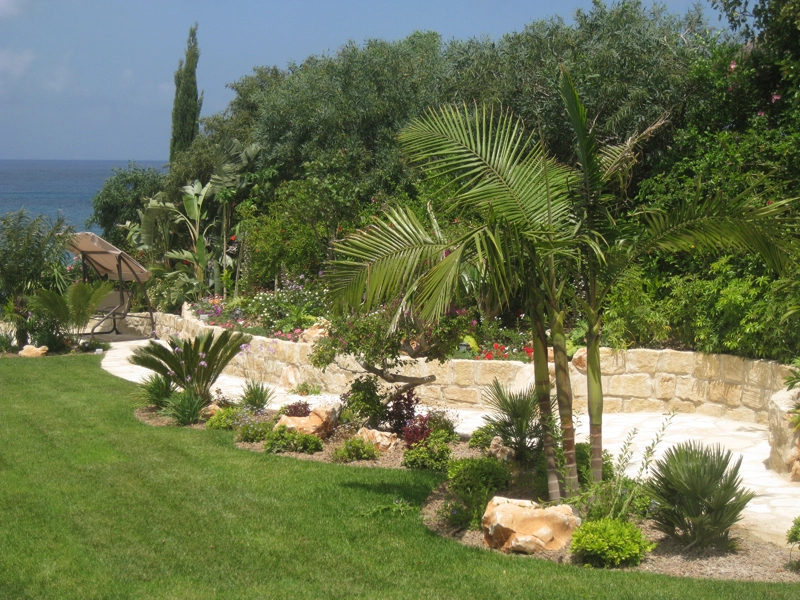 Green Forest - Cyprus' leading landscaping company - tropicalpalmsgardens 49 1
