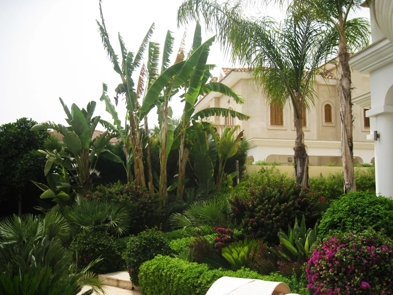 Green Forest - Cyprus' leading landscaping company - tropicalpalmsgardens 55 3