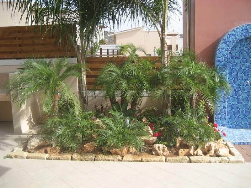 Green Forest - Cyprus' leading landscaping company - tropicalpalmsgardens 56 3
