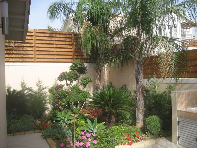Green Forest - Cyprus' leading landscaping company - tropicalpalmsgardens 57 3