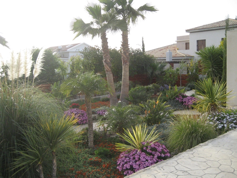 Green Forest - Cyprus' leading landscaping company - tropicalpalmsgardens 59