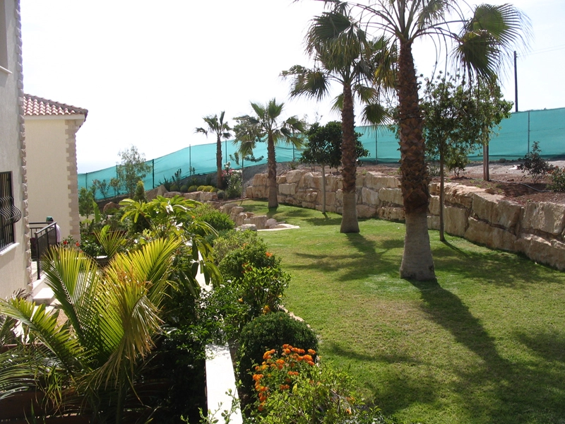 Green Forest - Cyprus' leading landscaping company - tropicalpalmsgardens 62 3