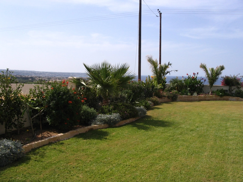 Green Forest - Cyprus' leading landscaping company - tropicalpalmsgardens 63 3