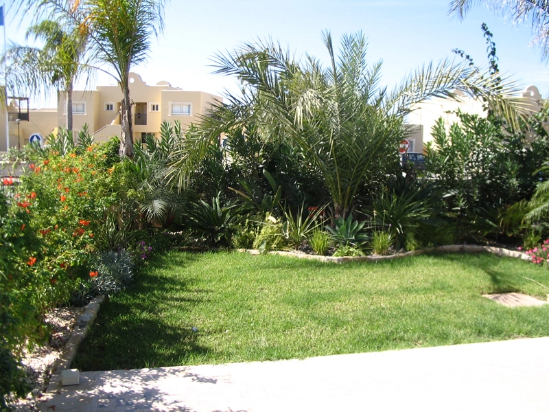 Green Forest - Cyprus' leading landscaping company - tropicalpalmsgardens 70 3