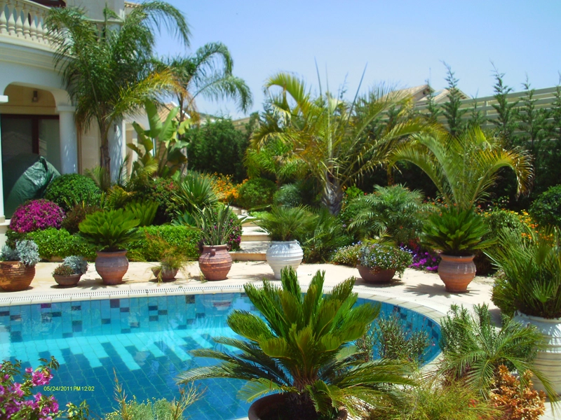 Green Forest - Cyprus' leading landscaping company - tropicalpalmsgardens 72 2