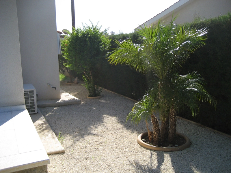 Green Forest - Cyprus' leading landscaping company - tropicalpalmsgardens 74 3