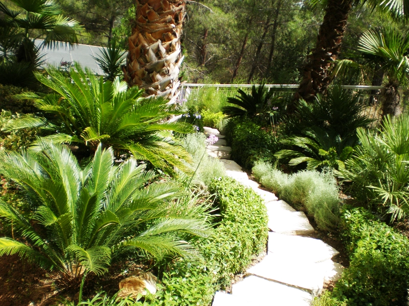 Green Forest - Cyprus' leading landscaping company - tropicalpalmsgardens 77