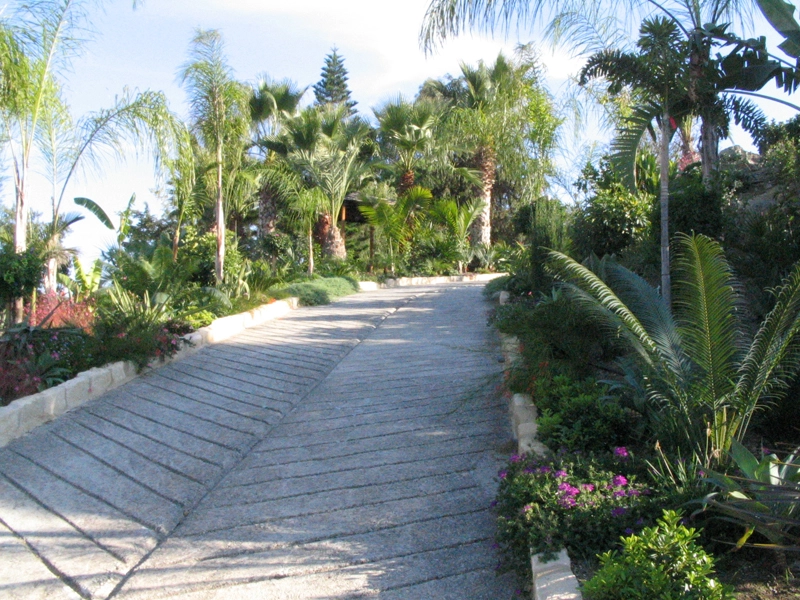 Green Forest - Cyprus' leading landscaping company - vladimirpyrgos 42 1