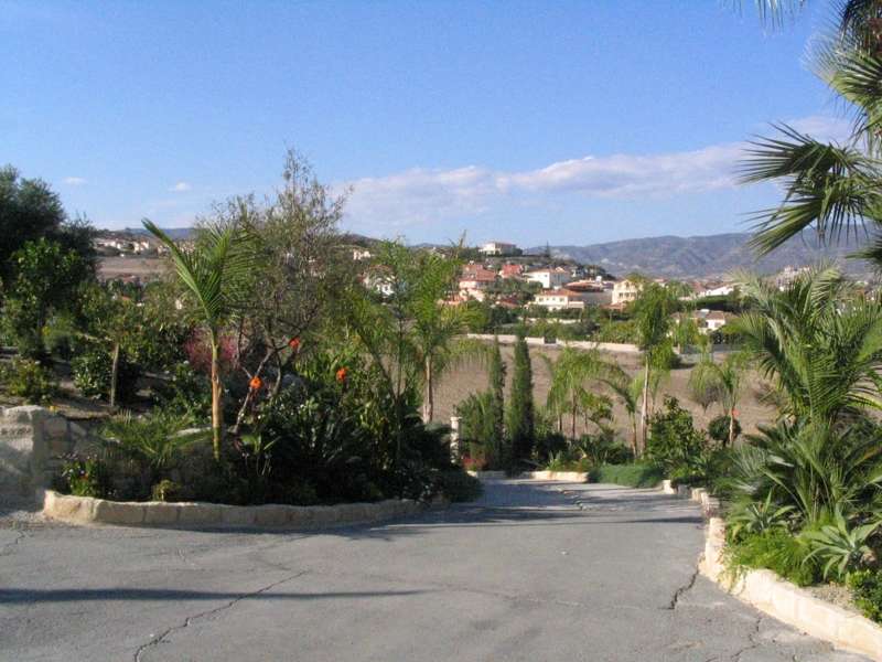 Green Forest - Cyprus' leading landscaping company - vladimirpyrgos 43