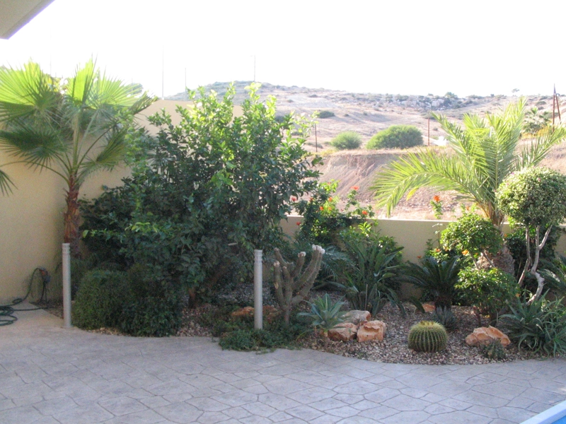 Green Forest - Cyprus' leading landscaping company - vladimirpyrgos 45