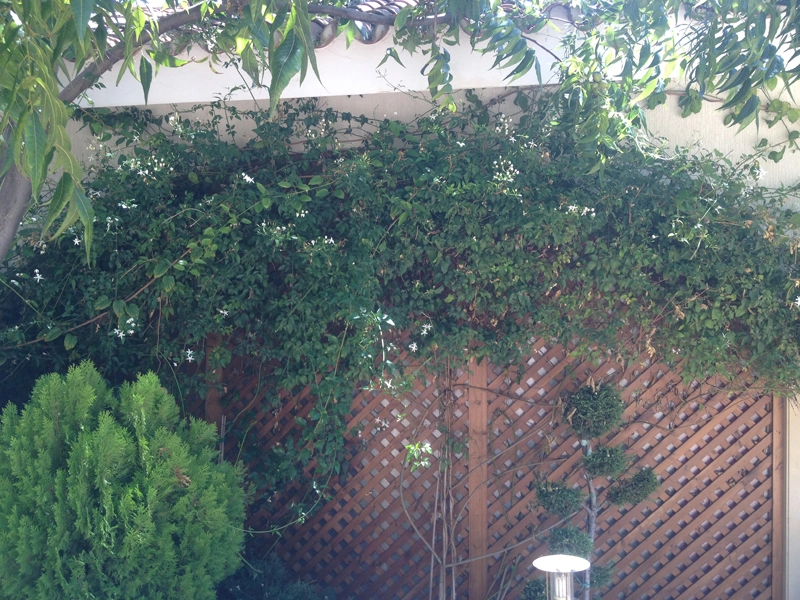 Green Forest - Cyprus' leading landscaping company - woodenmaterials 15 2