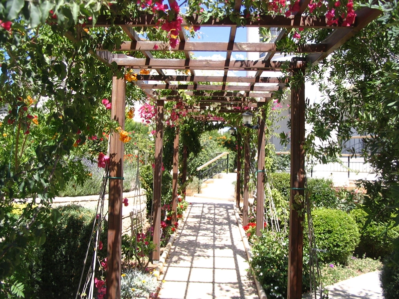 Green Forest - Cyprus' leading landscaping company - woodenmaterials 21