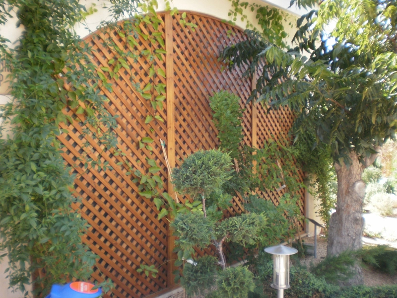 Green Forest - Cyprus' leading landscaping company - woodenmaterials 39