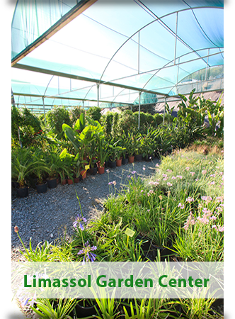 Green Forest - Cyprus' leading landscaping company - Limassol label