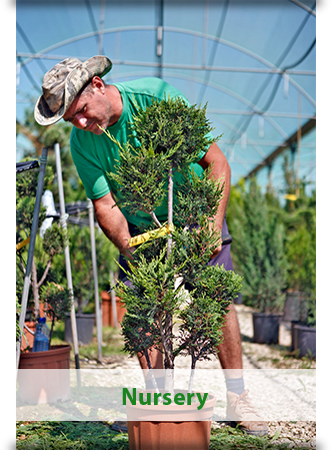 Green Forest - Cyprus' leading landscaping company - Nursery label