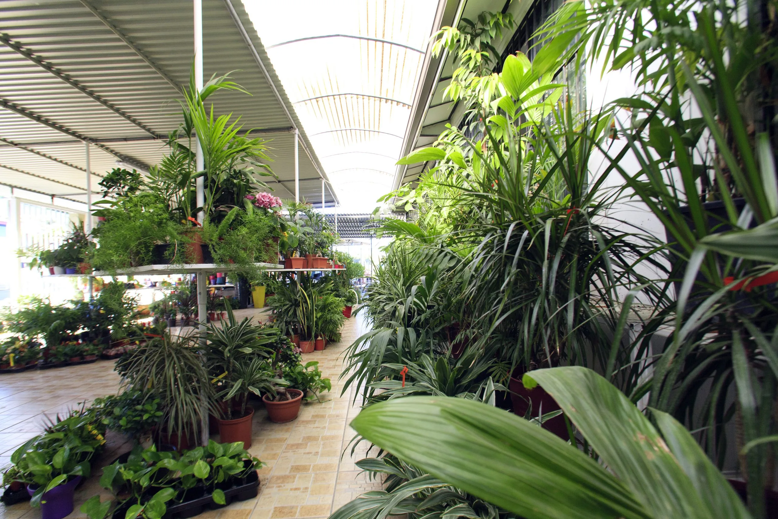 Green Forest - Cyprus' leading landscaping company - 2238 scaled