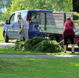 Green Forest - Cyprus' leading landscaping company - Services Categories Skills