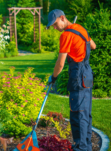 Green Forest - Cyprus' leading landscaping company - Untitled 5