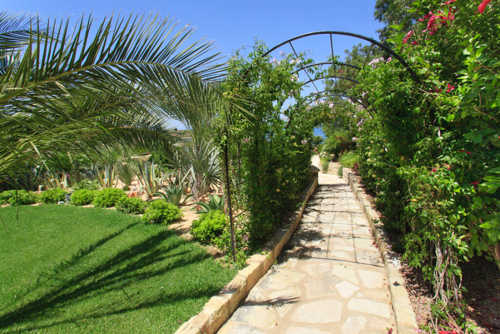 Green Forest - Cyprus' leading landscaping company - arches 1